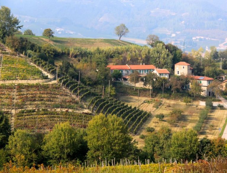 UNESCO Ernannte Weinberge Im Piemont Zum Weltkulturerbe Urlaub Im